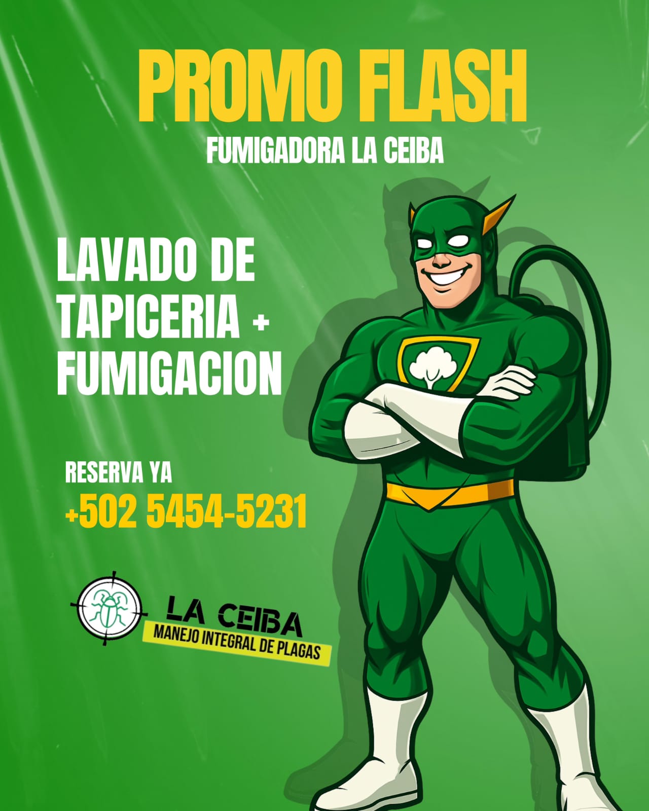 whatsapp image 2026 01 02 at 10.43.02 pm (2)