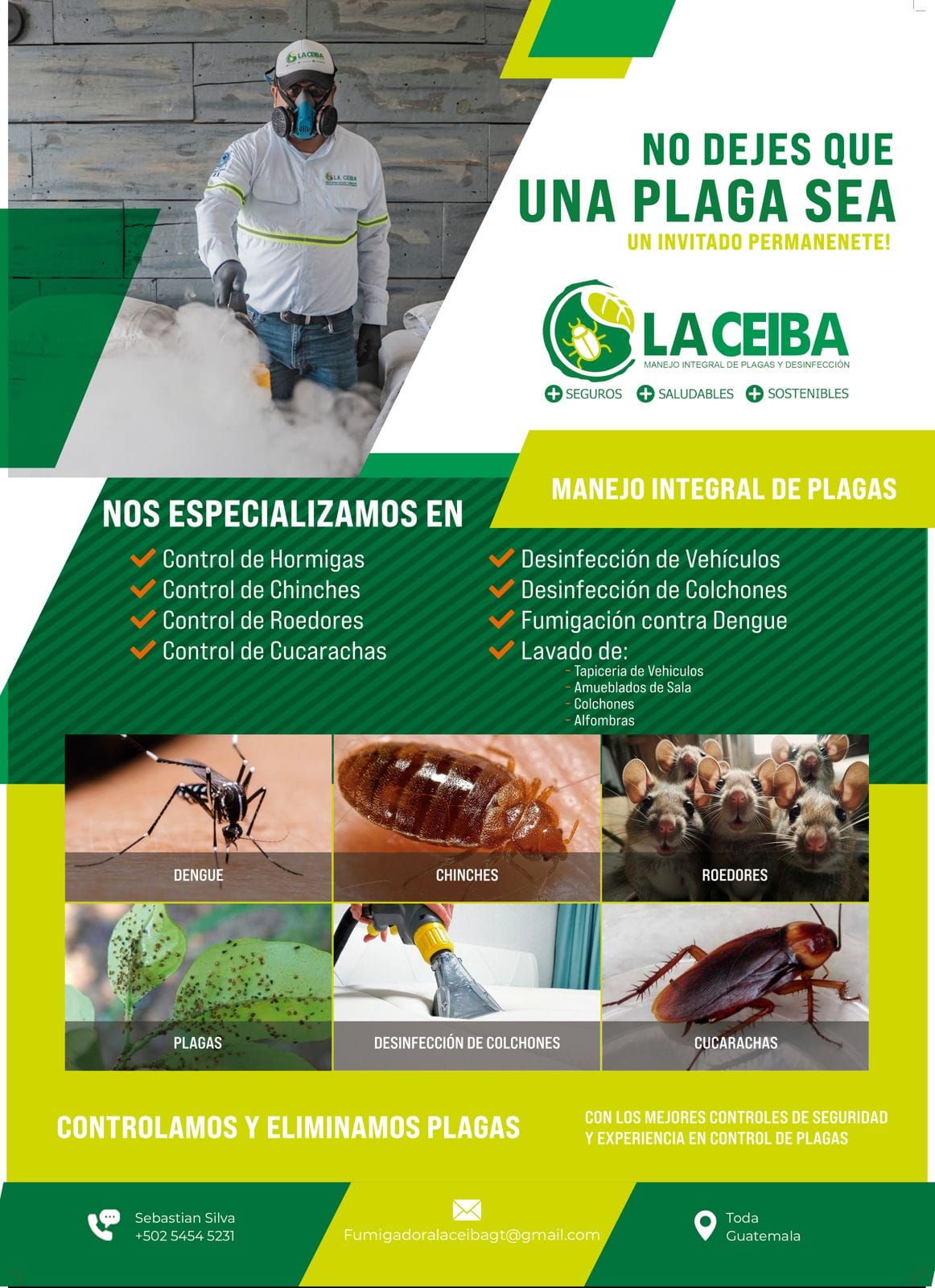 whatsapp image 2026 01 02 at 10.43.02 pm (3)