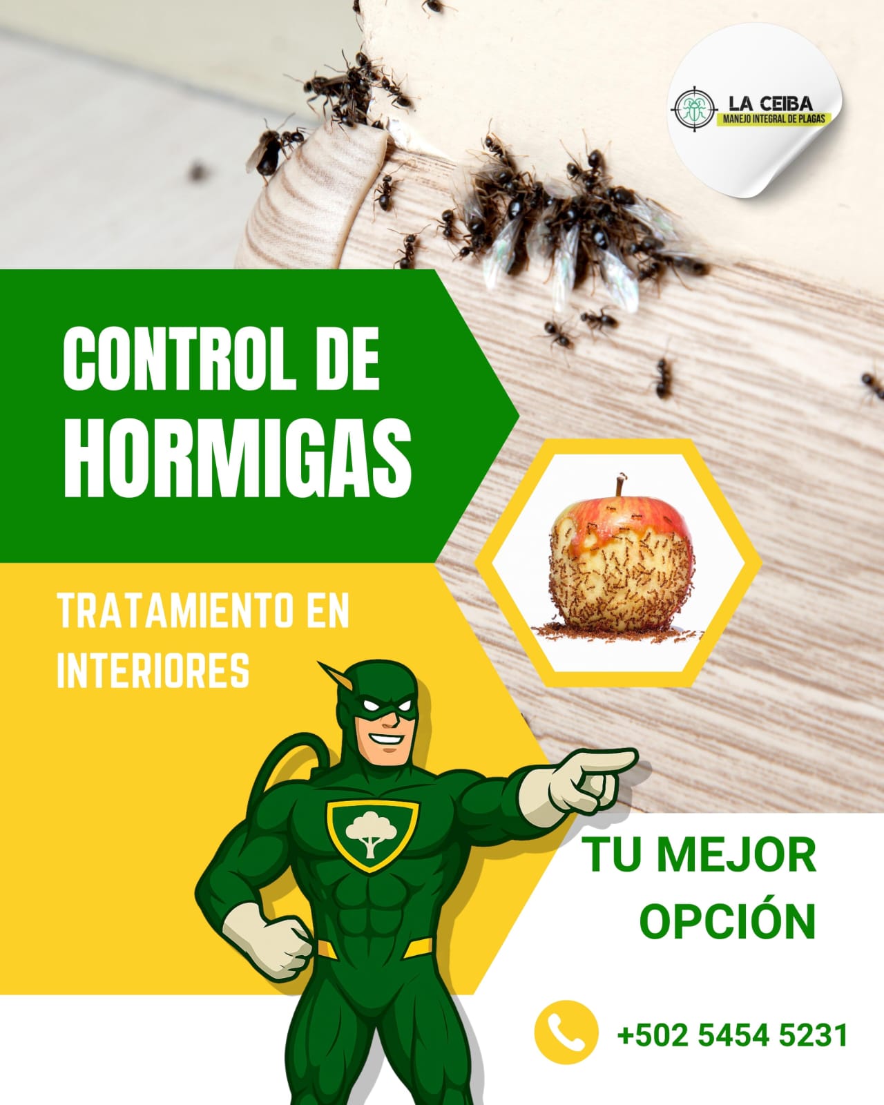 whatsapp image 2026 01 02 at 10.43.02 pm (5)