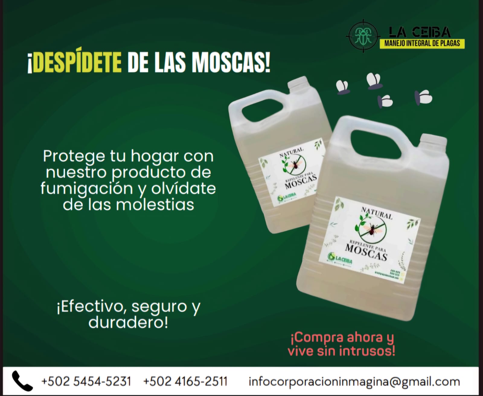 whatsapp image 2026 01 02 at 10.43.02 pm (6)