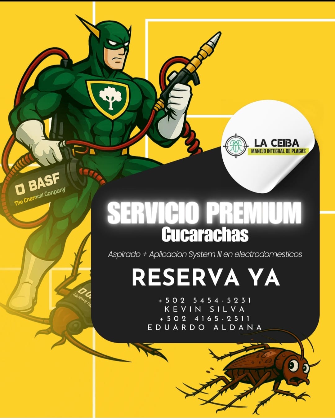 whatsapp image 2026 01 02 at 10.43.02 pm