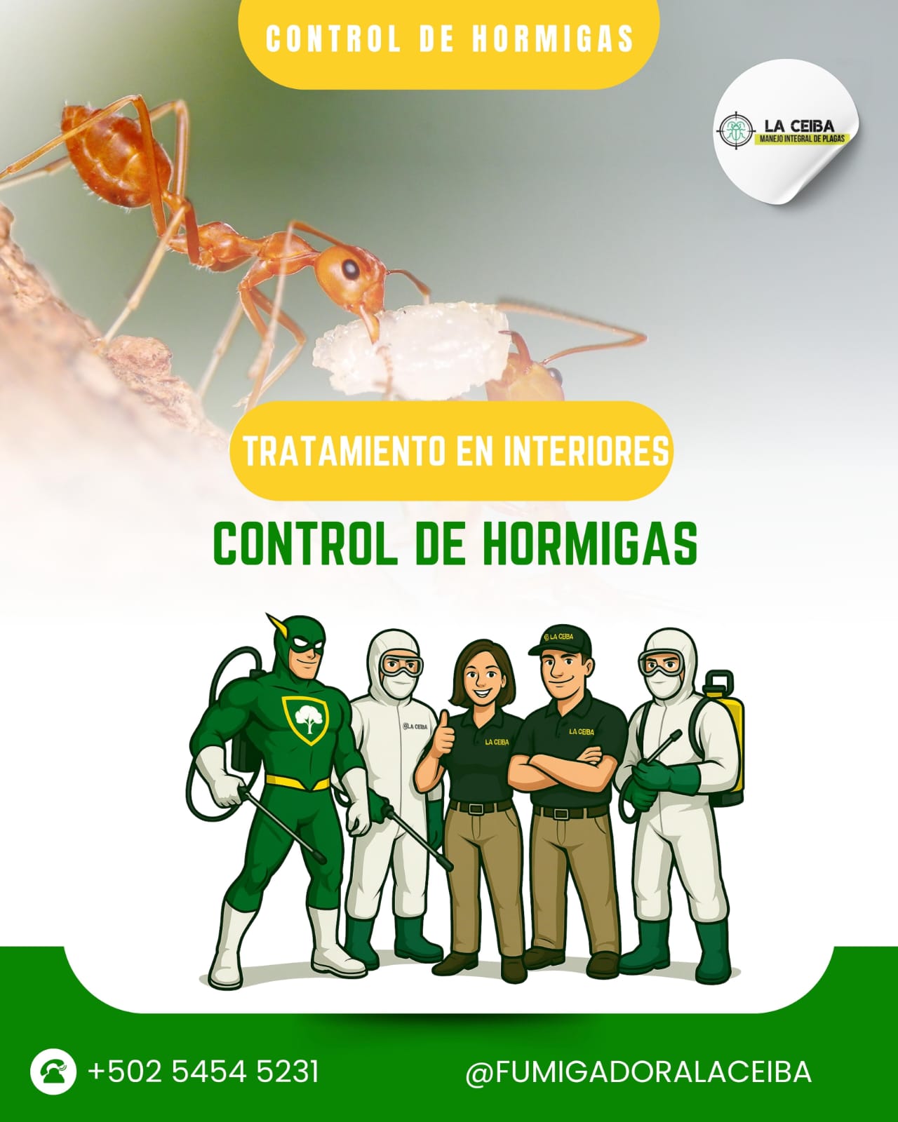 whatsapp image 2026 01 02 at 10.43.03 pm (3)