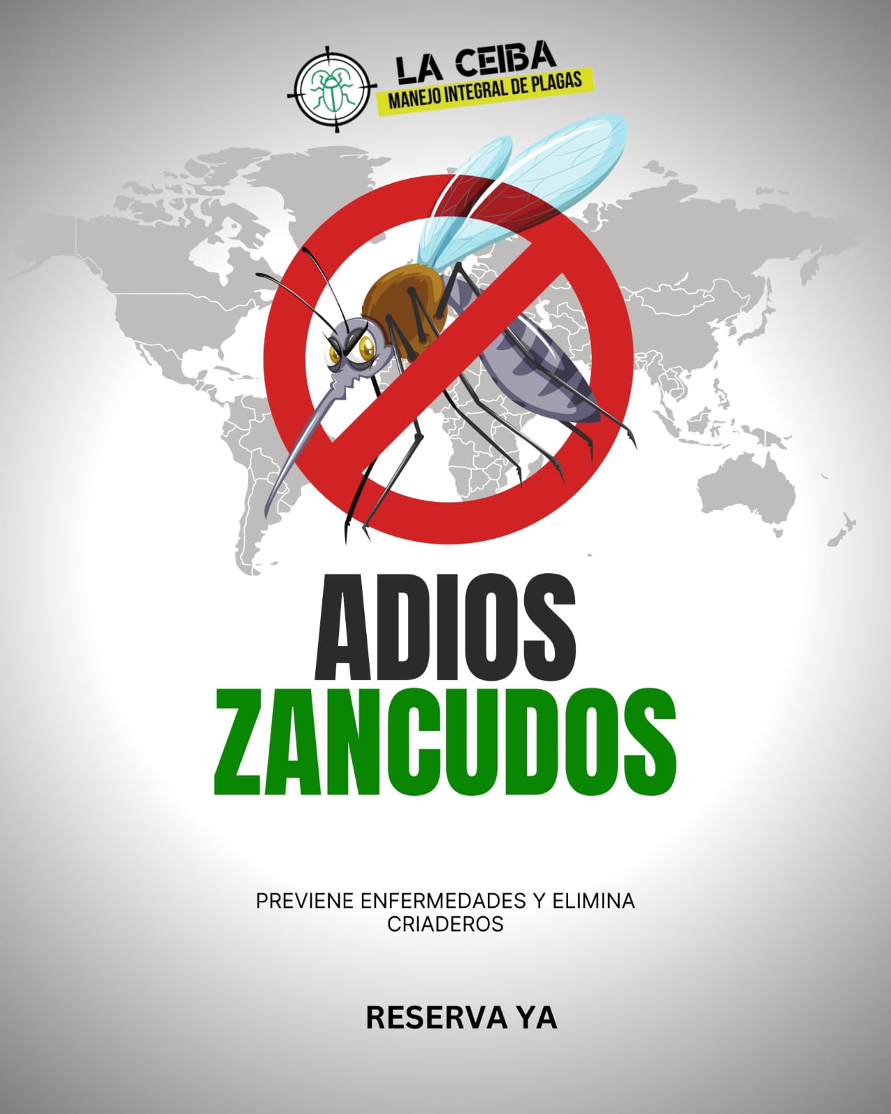 whatsapp image 2026 01 02 at 10.43.03 pm (5)